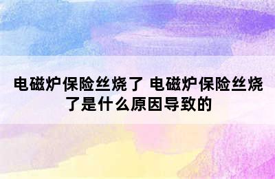 电磁炉保险丝烧了 电磁炉保险丝烧了是什么原因导致的